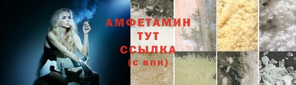 сатива Иннополис