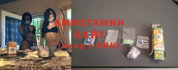 гидра Вязьма