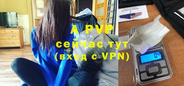 сатива Иннополис