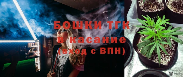 сатива Иннополис