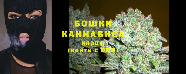сатива Иннополис