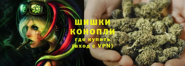 твердый Туринск