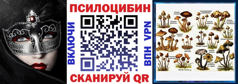 где найти наркотики  дарк нет официальный сайт  Псилоцибиновые грибы Psilocybe  Кисловодск 